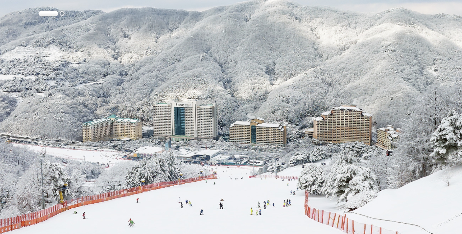 비발디파크 홈페이지