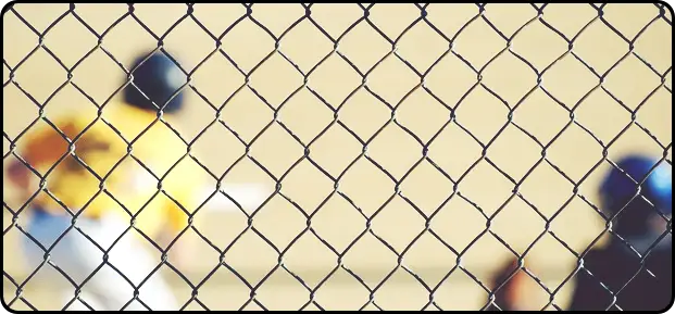 2024 프리미어12 야구 결승전 결과