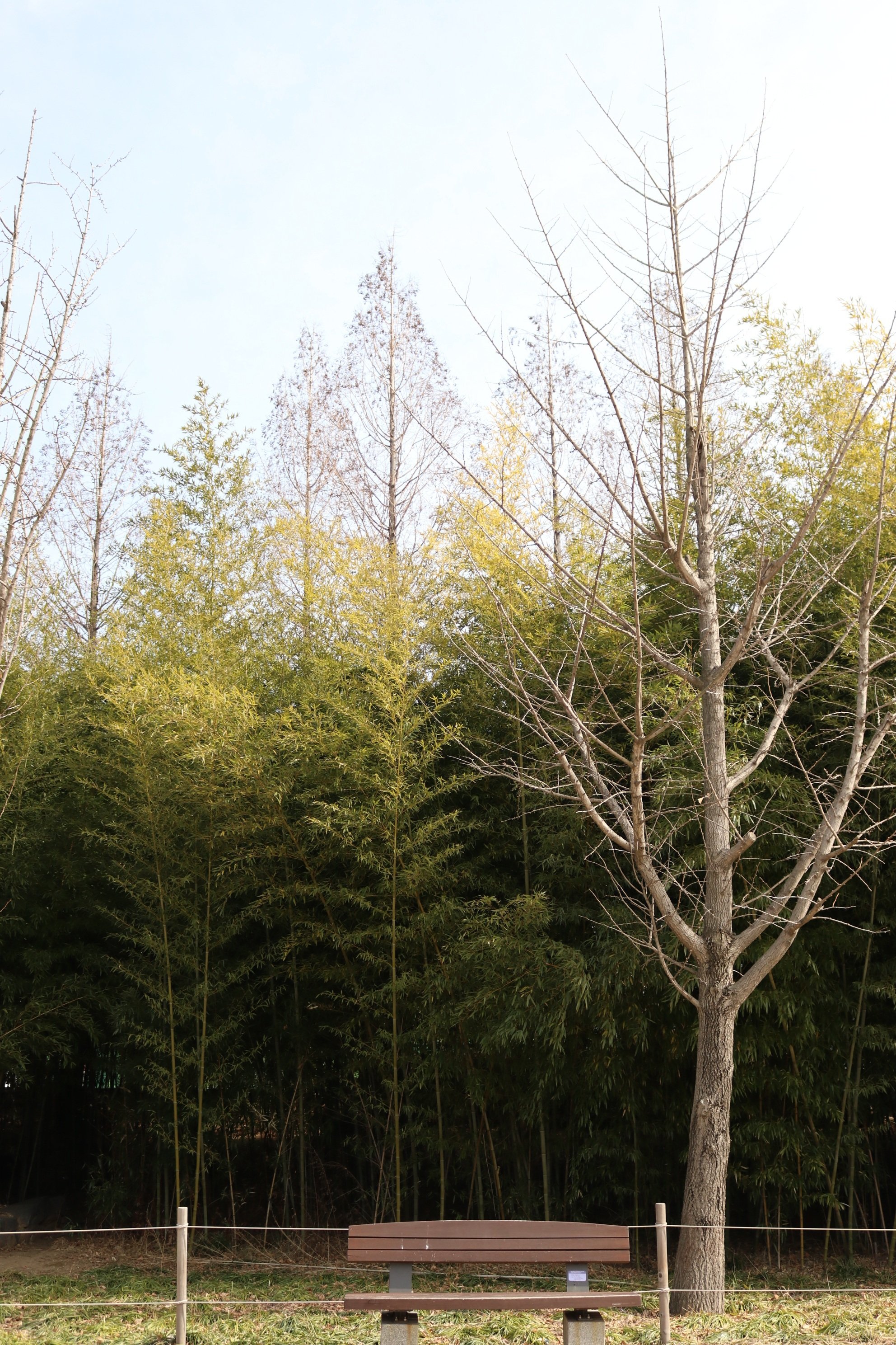 서울숲 포켓몬 이벤트 총정리 (2026 위치&middot;기간&middot;스탬프랠리&middot;꿀팁 완벽 정리)