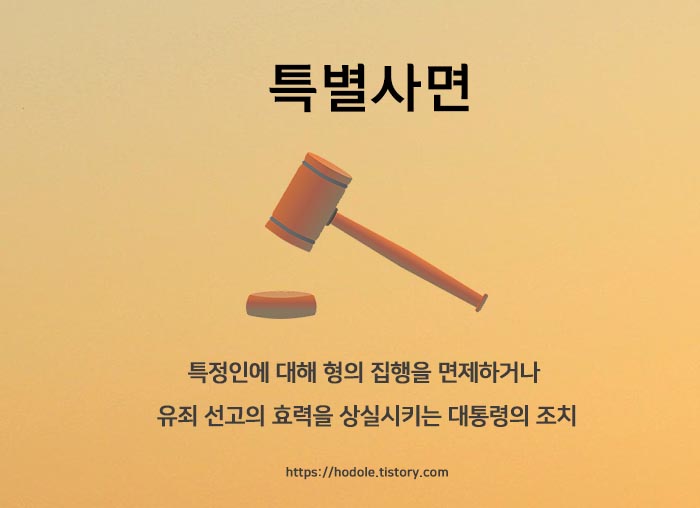 대통령의 특권