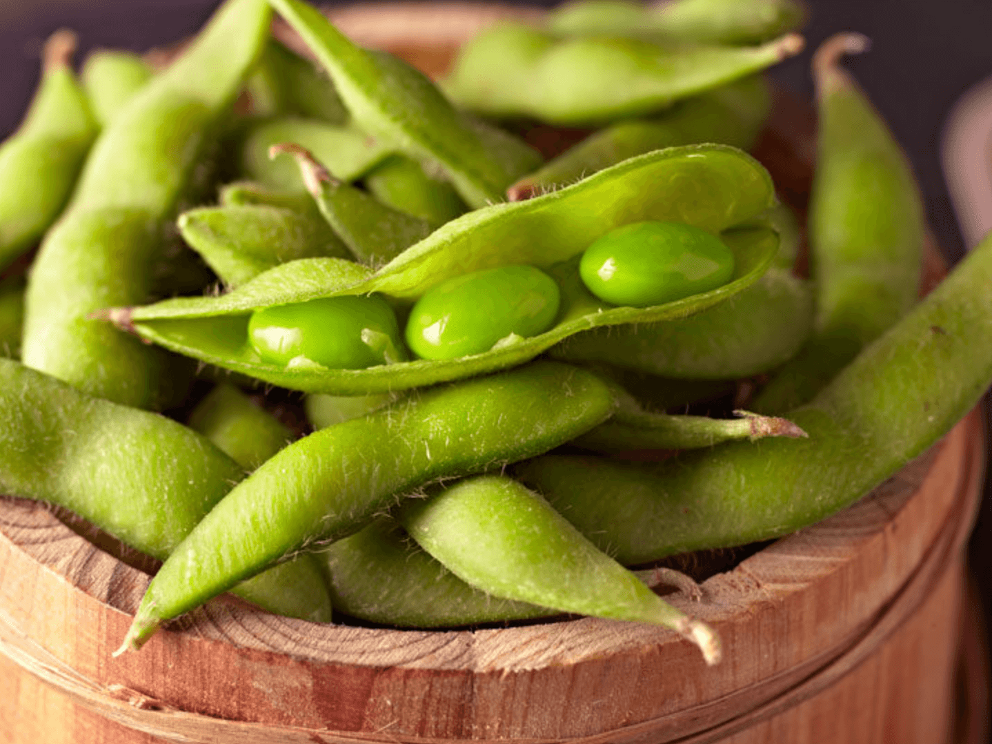 아르기닌 부작용