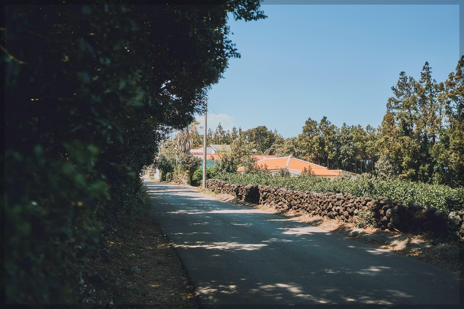 제주 올레길 4코스 지도 맛집 숙소: 해안과 숲이 만나는 여정
