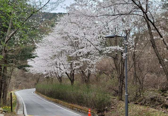 국립자연휴양림