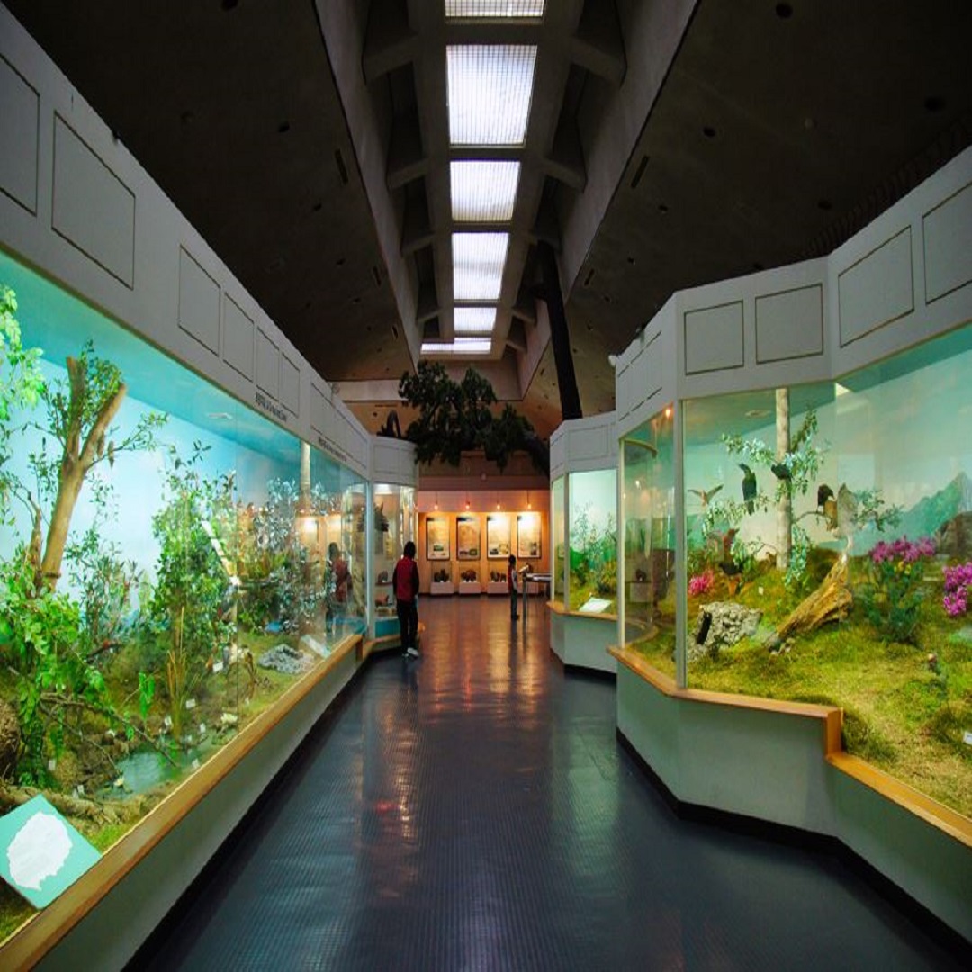 민속자연박물관