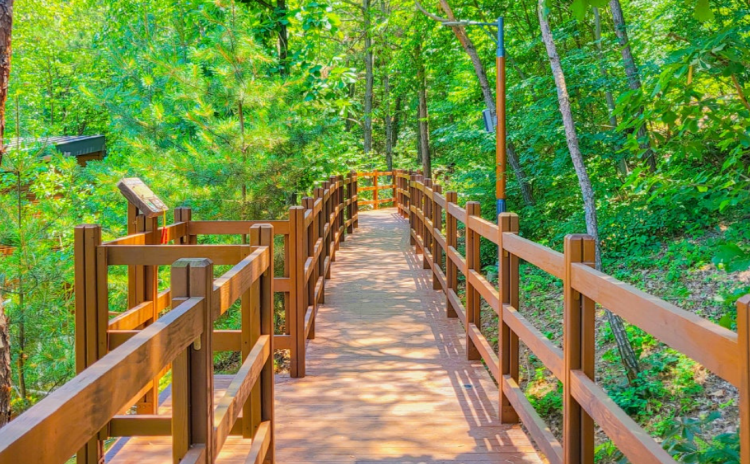 국립대전숲체원