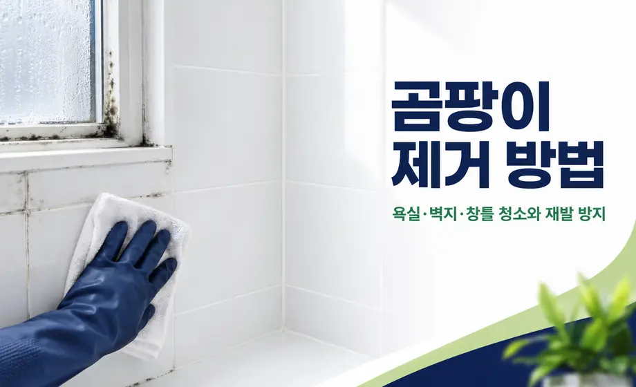 욕실 타일과 창틀 곰팡이를 닦는 모습과 곰팡이 제거 방법 안내