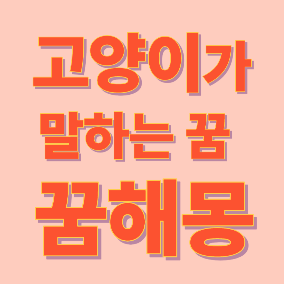고양이가 말하는 꿈 해몽
