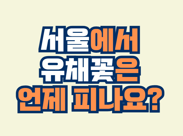 유채꽃