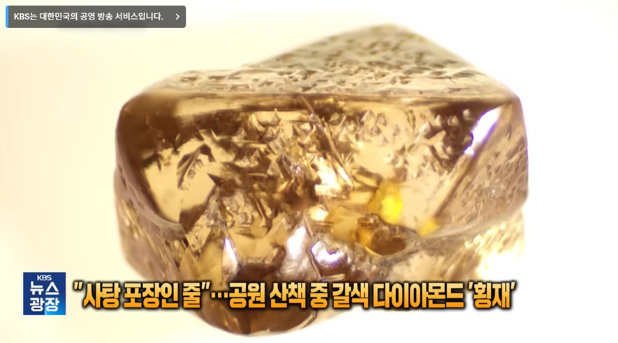 “사탕 포장인 줄”..공원 산책 중 갈색 다이아몬드 ‘횡재’