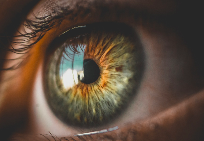 디지털 시대의 눈 건강 관리