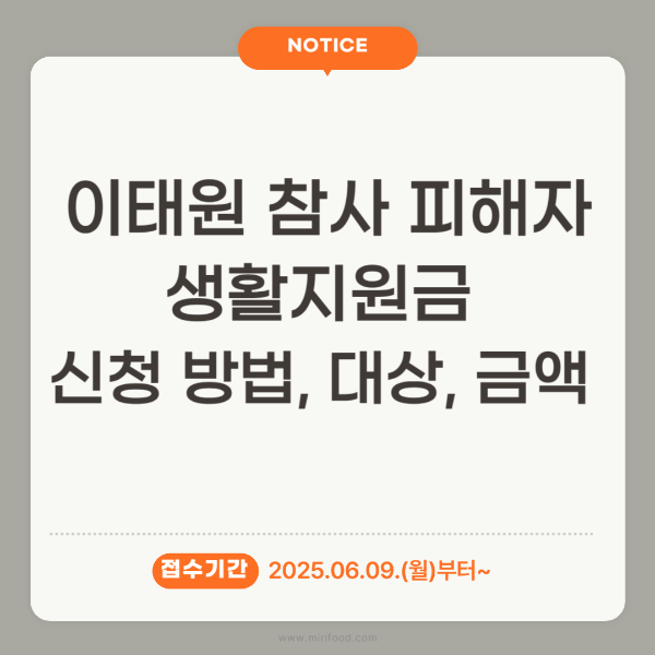 이태원 참사 피해자