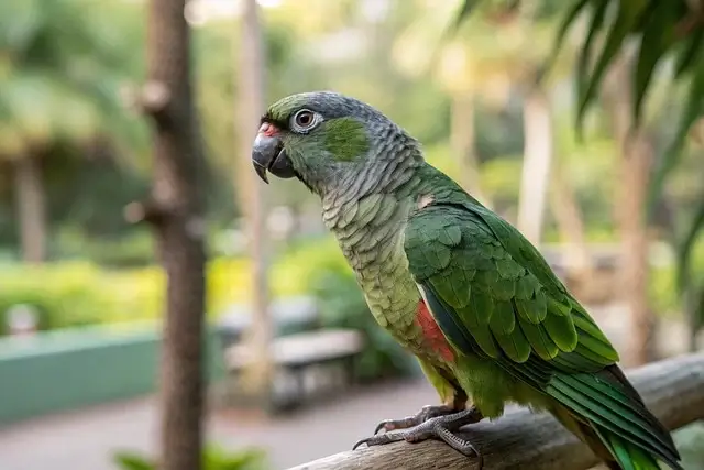 해외와 한국의 반려동물 보험 비교