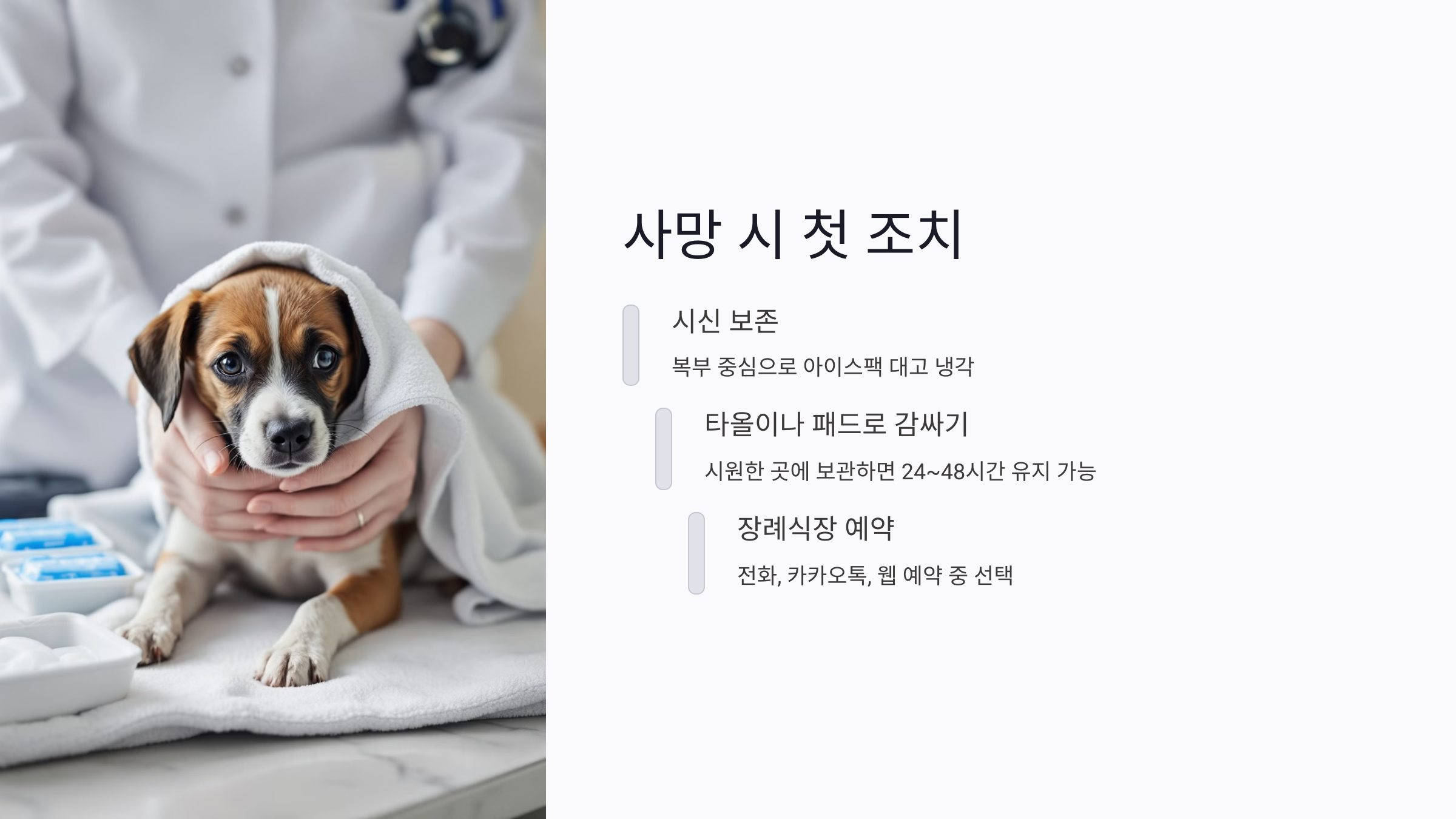 반려동물 사망 시 꼭 알아야 할 첫 조치