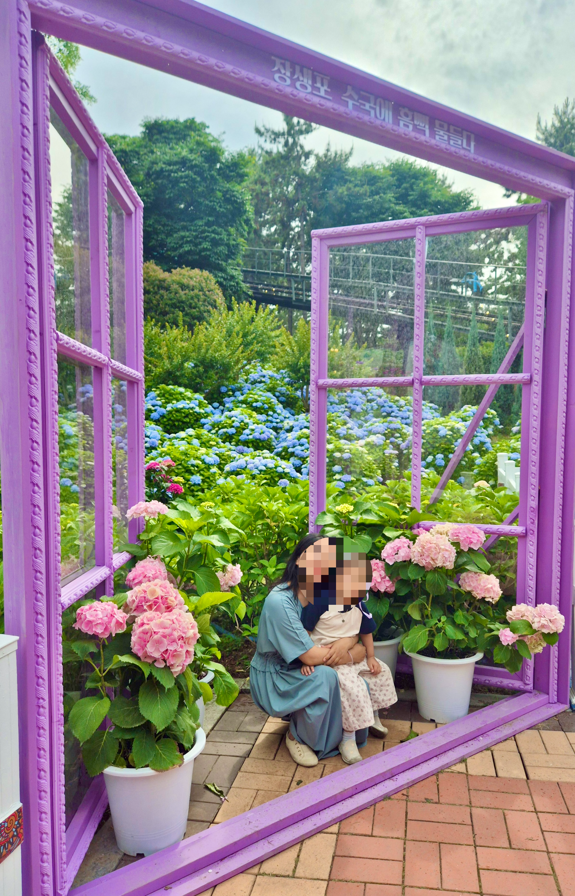 #장생포수국축제 
#울산수국축제 
#고래문화마을 
#울산장생포가볼만한곳 
#장생포포토존 
#고래광장수국길 
#오색수국정원 
#수국축제개화상황2025 
#수국사랑상품권사용처 
#울산6월축제 
#장생포여행코스 
#울산플리마켓체험 
#울산데이트코스 
#울산여행추천 
#장생포주차정보
#수국포토존
#장생포오색수국정원
오색수국정원 포토존