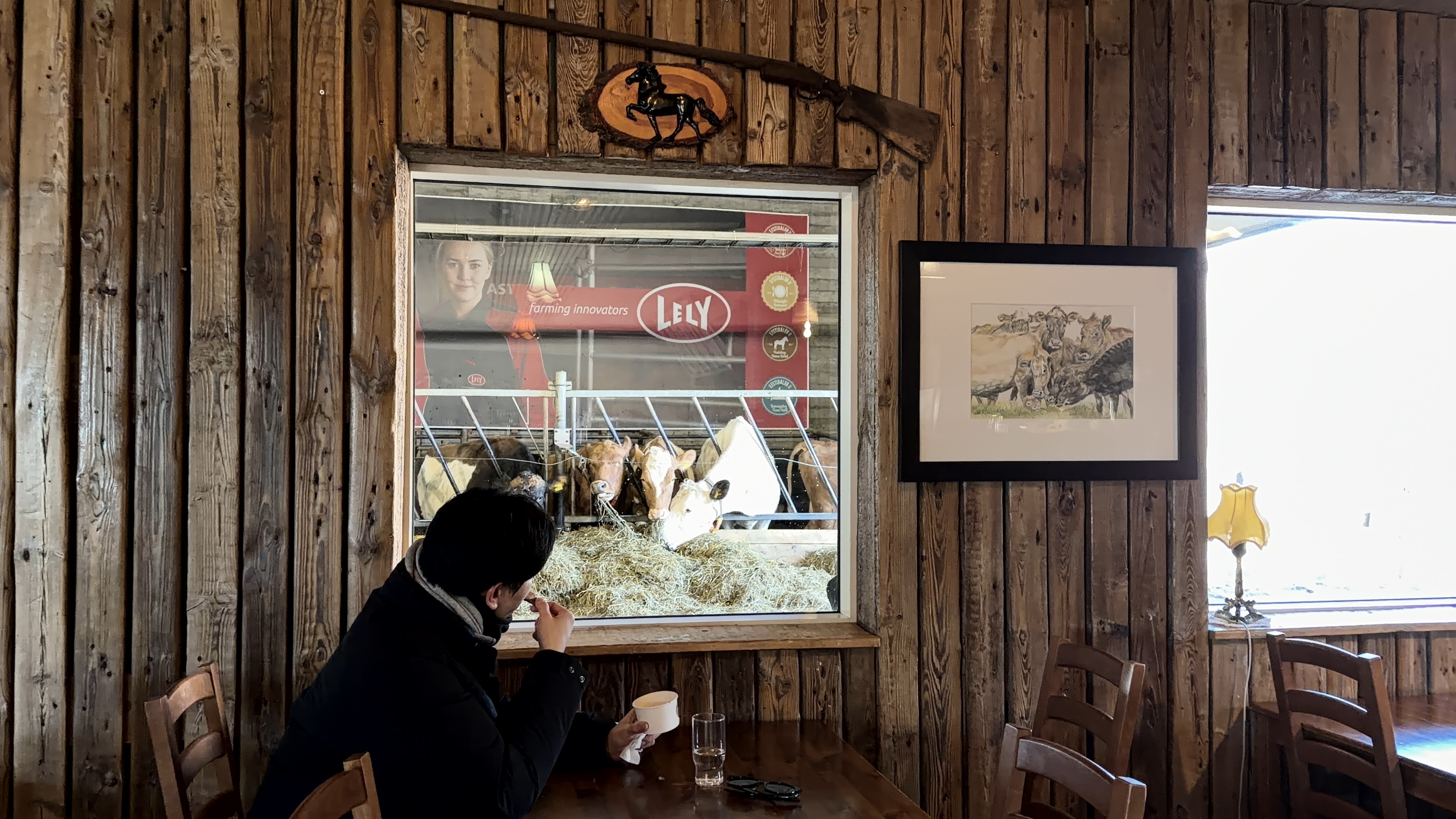 아이슬란드 골든서클 아이스크림