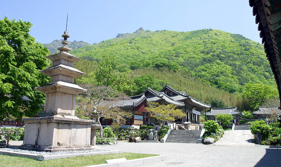 표충사 사계 (밀양 8경) 