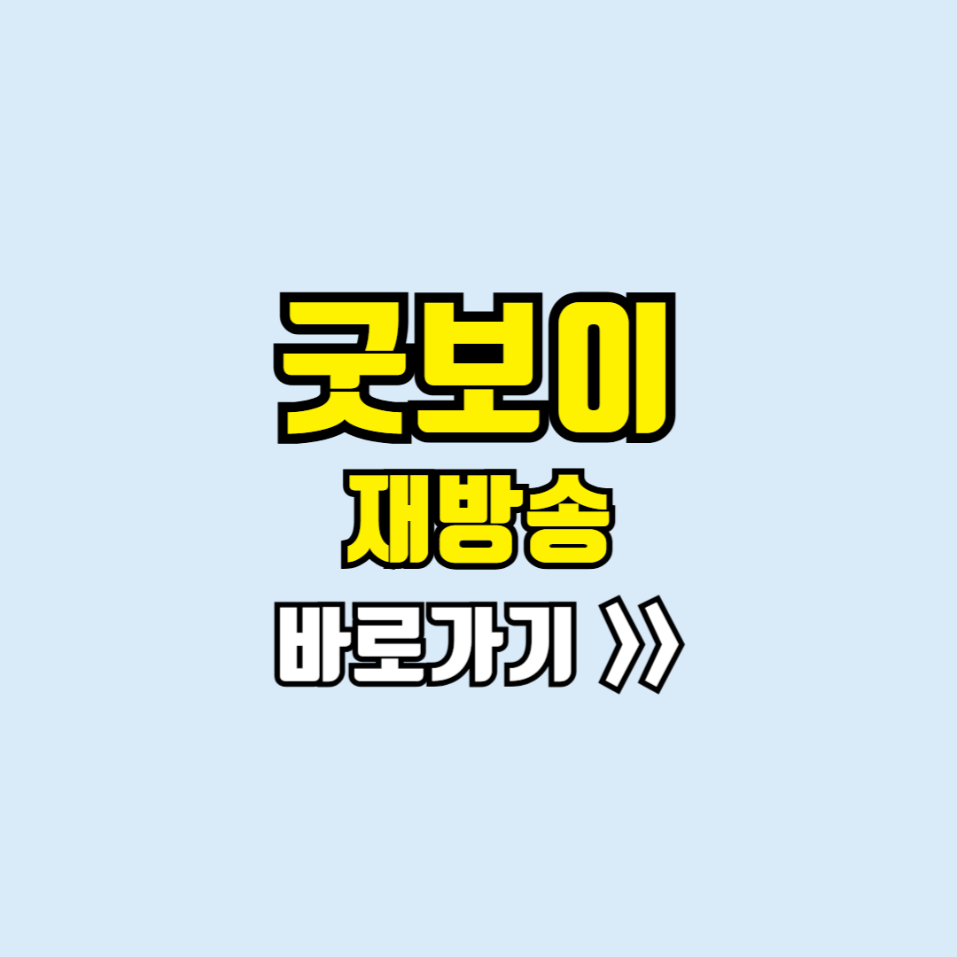 굿보이 재방송