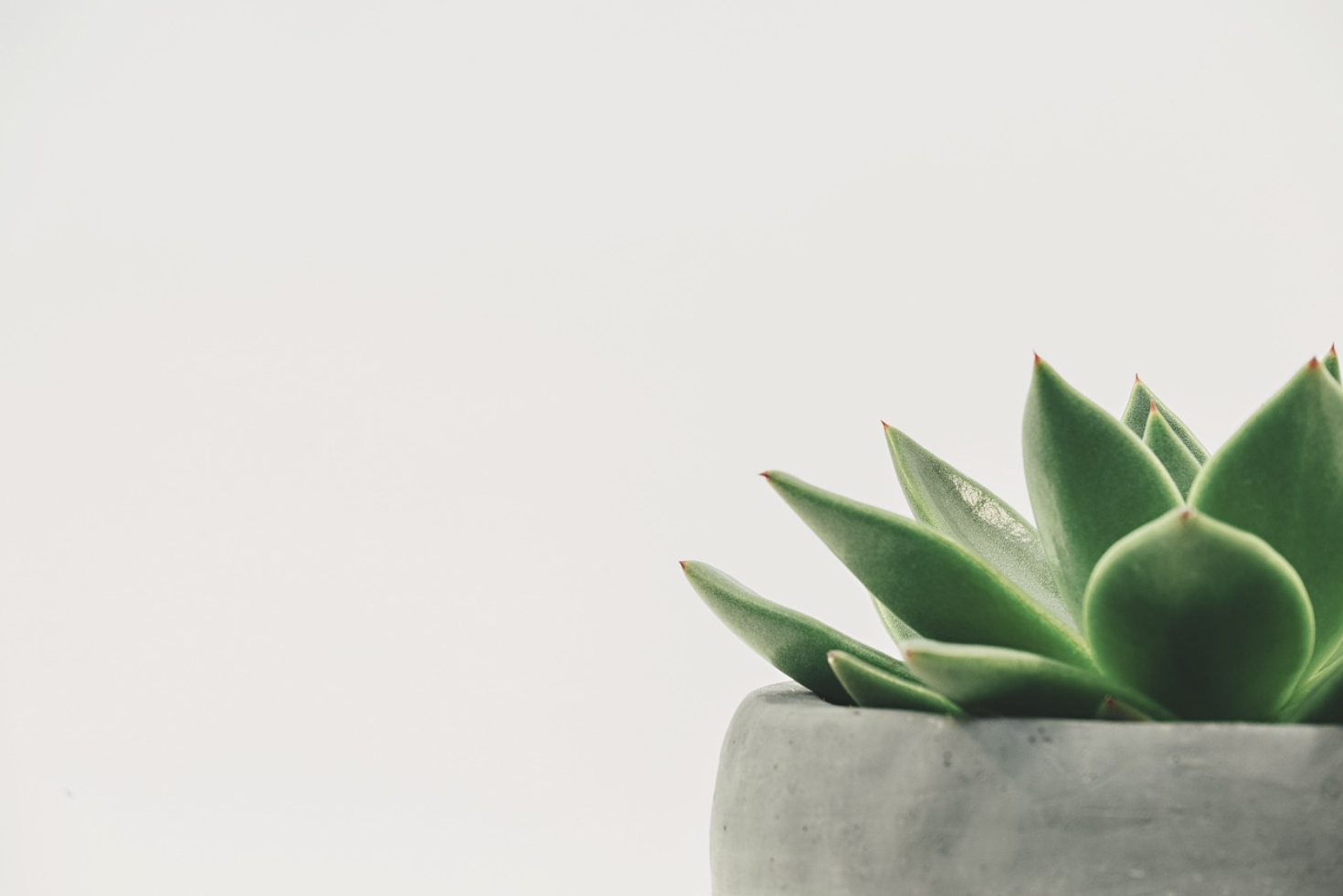 팍스 달러리움 달러 패권 체제의 형성과 현재의 의미