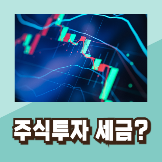 2024년금융투자소득세금투세