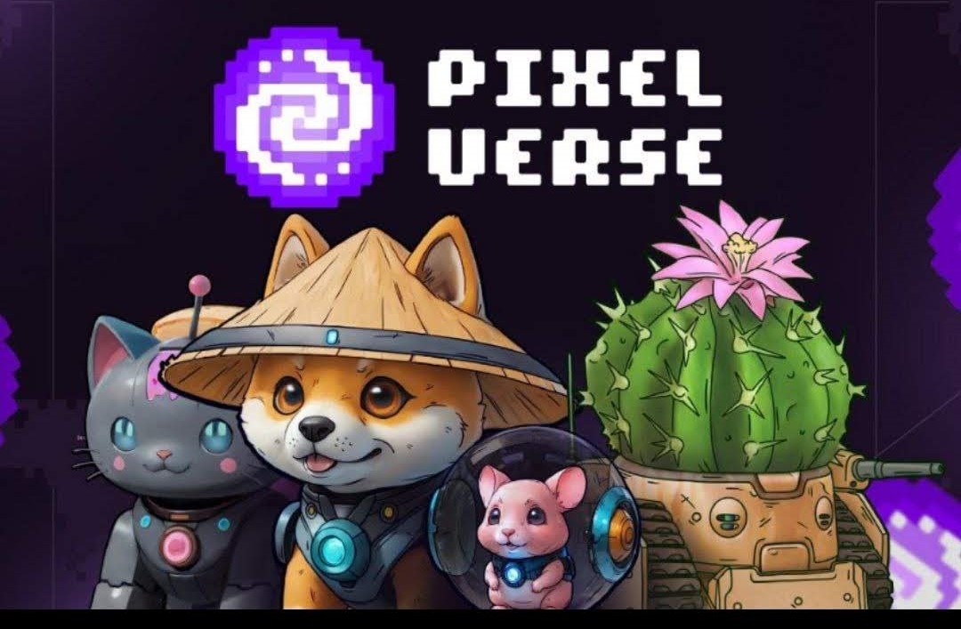 픽셀탭 (PixelTap)