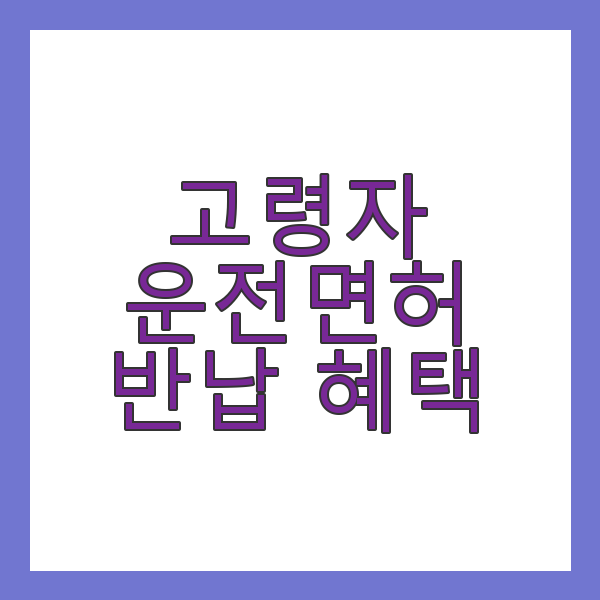 고령 운전면허 반납 혜택