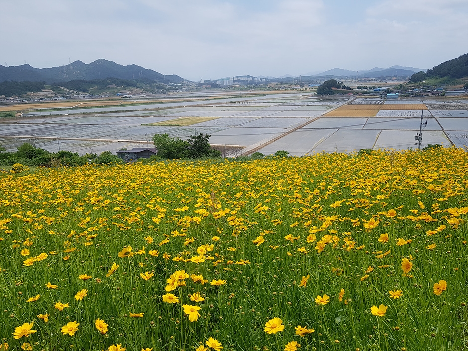 영광 가볼만한곳 베스트10