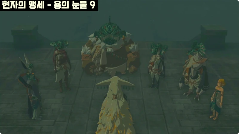 현자의 맹세 내용을 담고 있는 용의 눈물 9