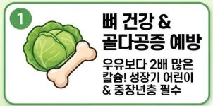 돌나물 효능
