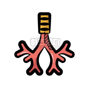 백일해 증상