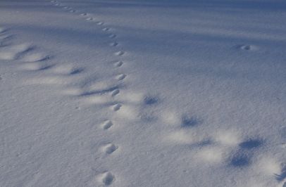 겨울 일본 삿포로 여행 준비