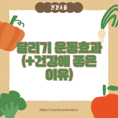달리기 운동효과 (+건강에 좋은 이유)