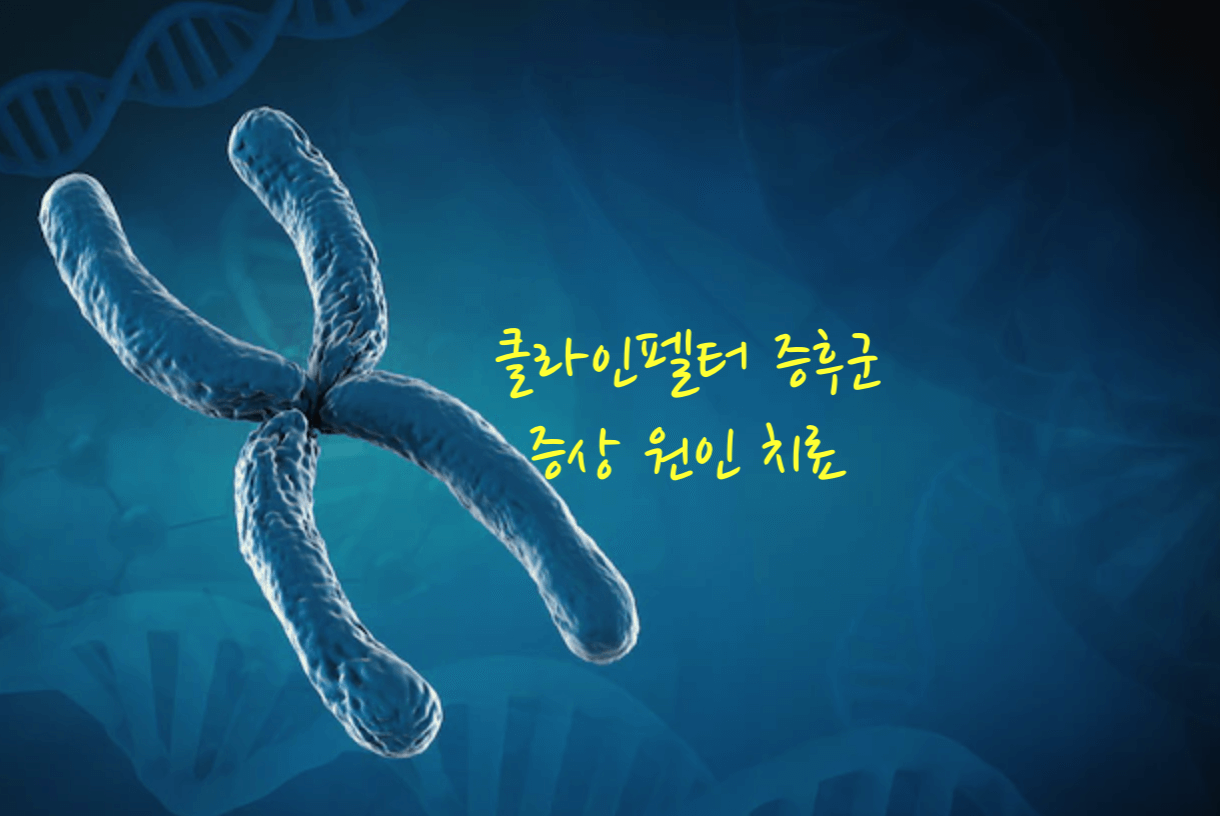 클라인 펠터