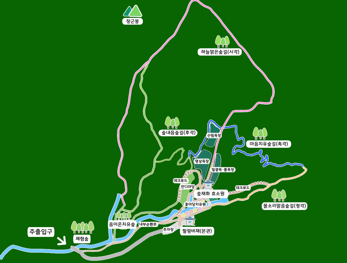 충북 진천 치유의 숲, 꼭 가야 하는 6가지 이유!