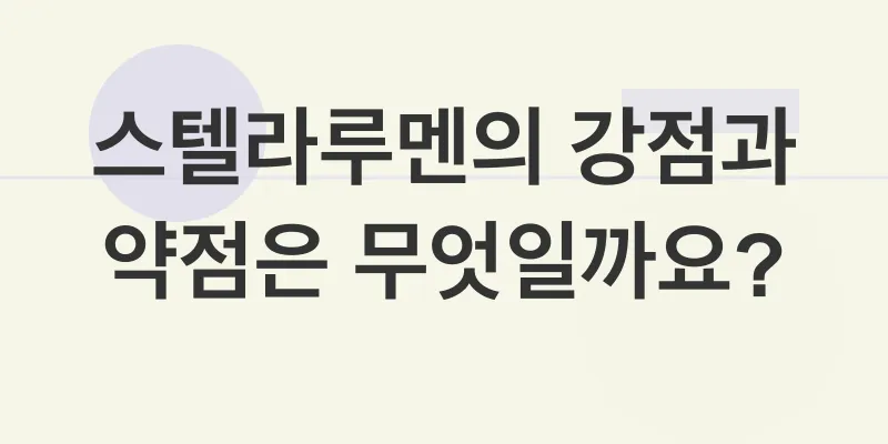 스텔라루멘 전망_2