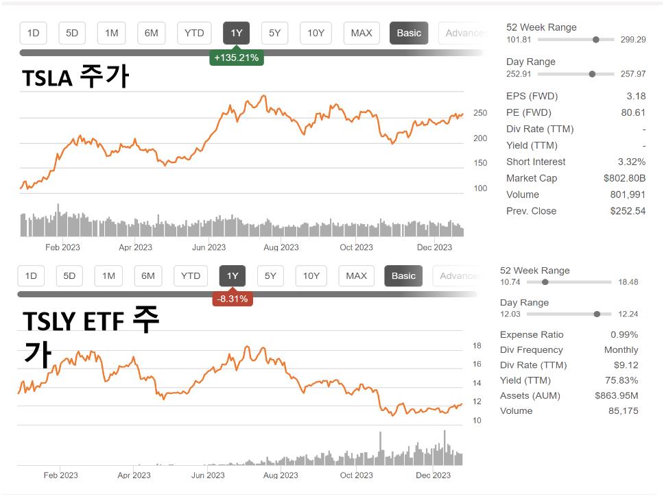 TSLY ETF 사진