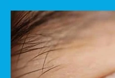 눈 영양제 구매 전 필수 정보 3가지, 루테인만 먹으면 안 되는 이유