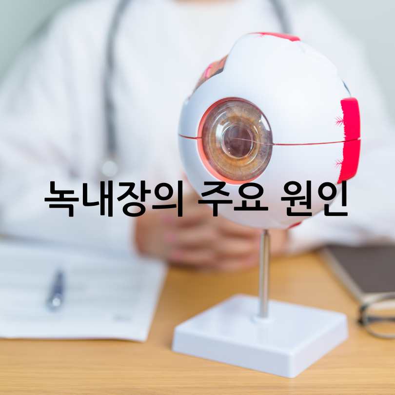 녹내장 초기 증상&amp;#44; 실명 확률 및 진행 속도