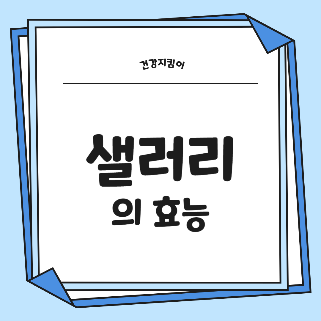 샐러리 효능 먹는법 부작용 고르는법 칼로리