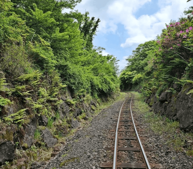 비올때 아이와 함께 제주도 실내 가볼만한곳 top3(동쪽&amp;#44;서쪽)