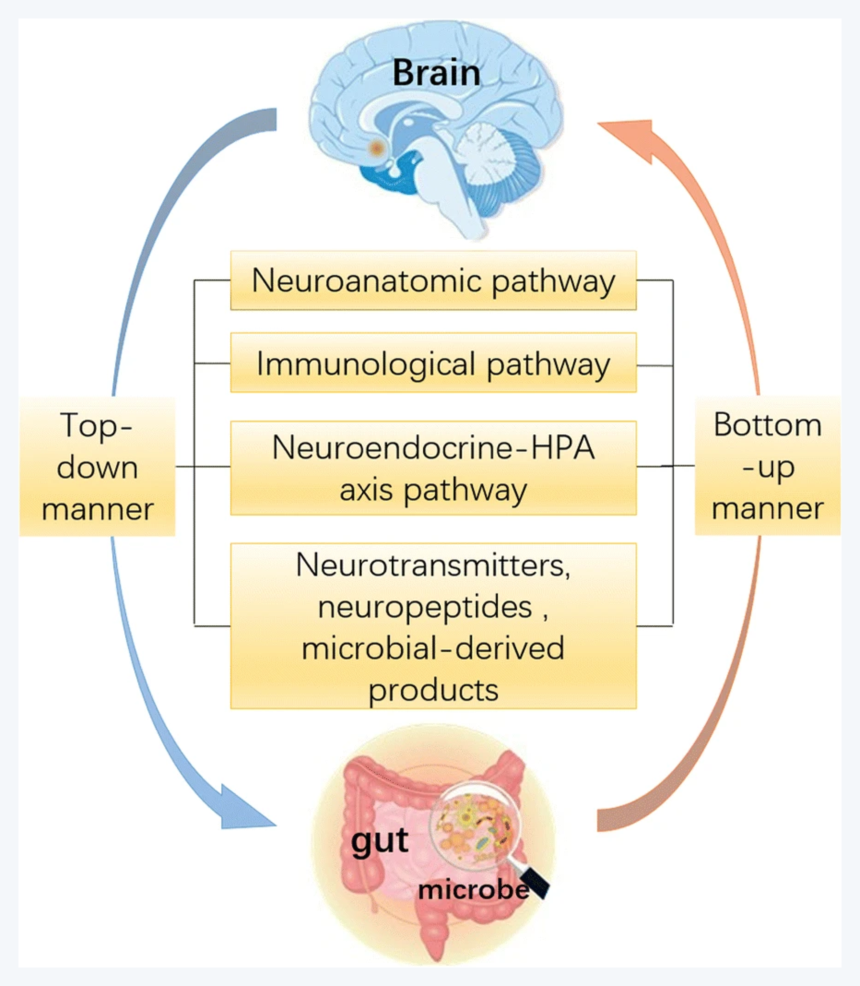 마이크로바이옴