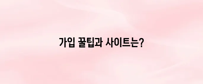 해외 여행자 보험 인터넷 가입방법 및 추천 사이트