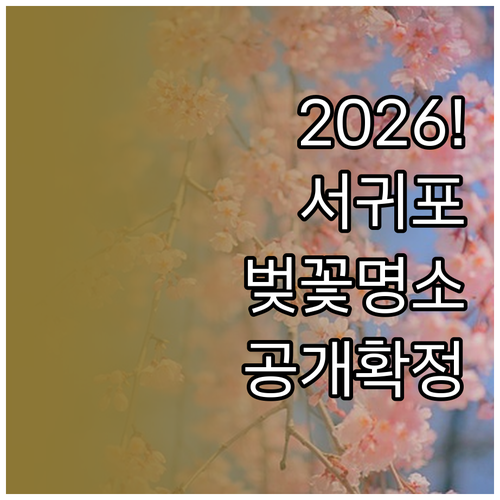 서귀포 벚꽃 명소 추천 및 2026년..