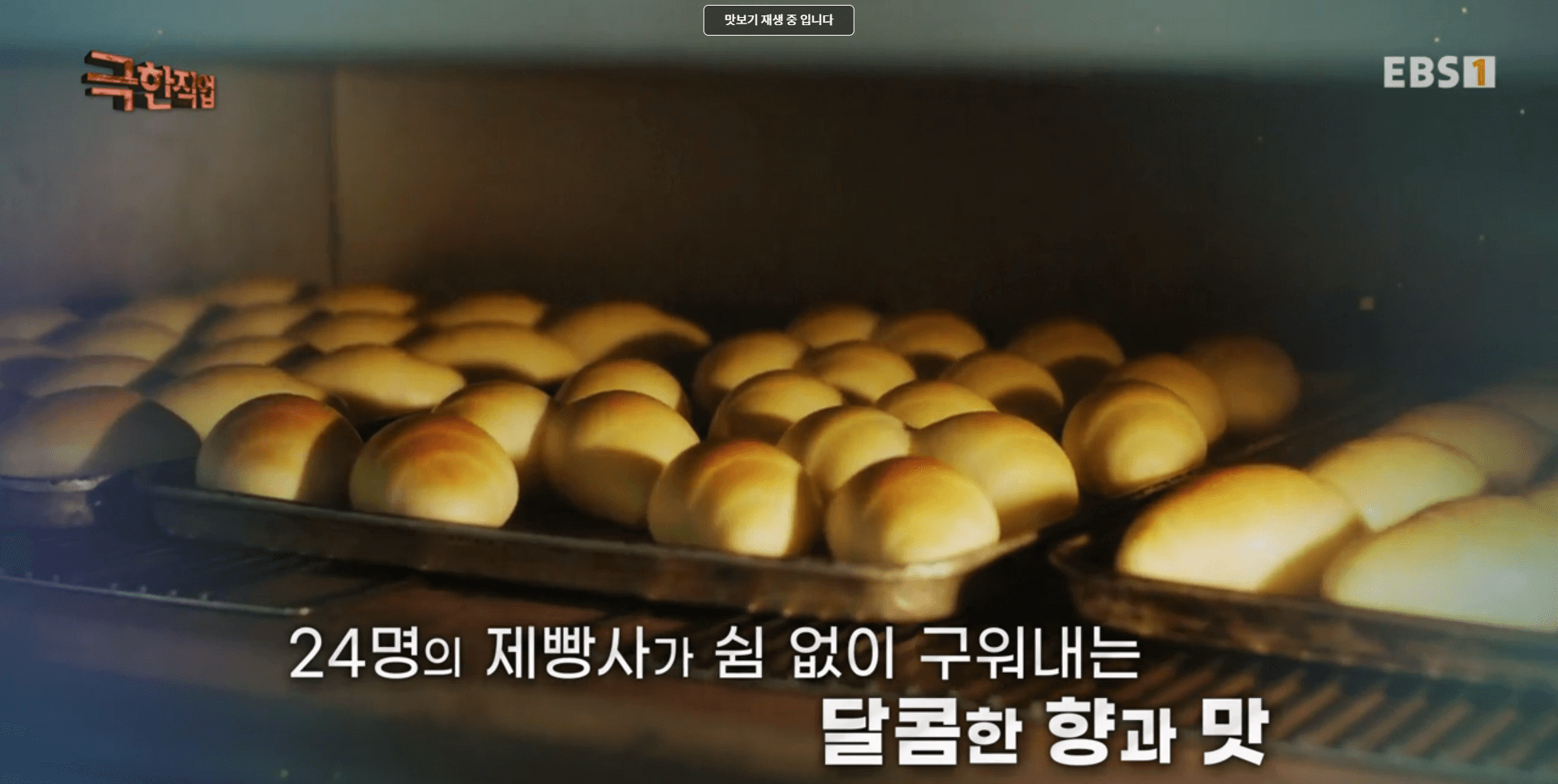 극한직업 대형빵집 용인 본누벨베이커리 위치 택배