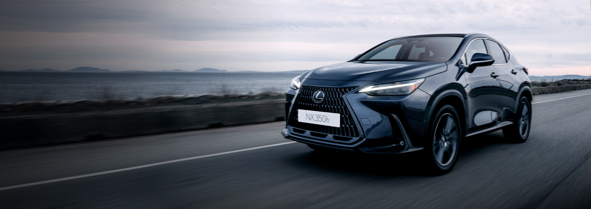 렉서스 NX350h 전면사진