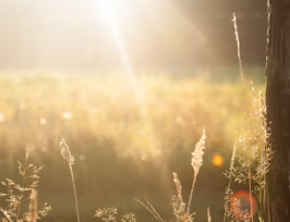 백내장 초기증상 발병원인 관리 방법