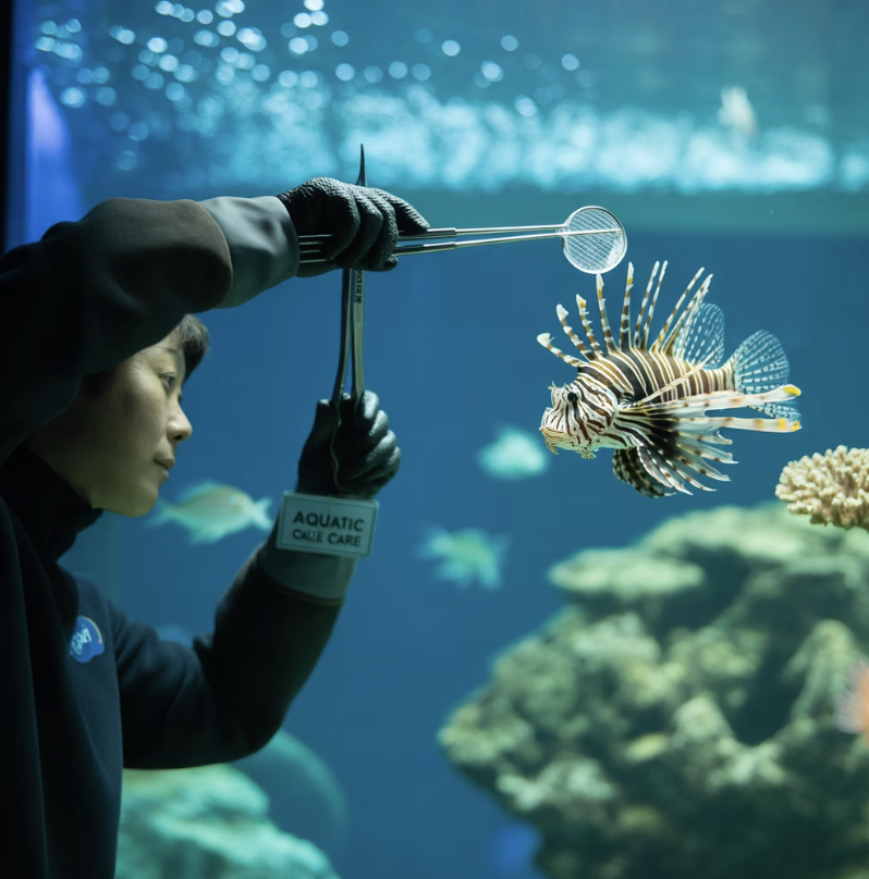 독을 다루는 지혜, 안전 수칙