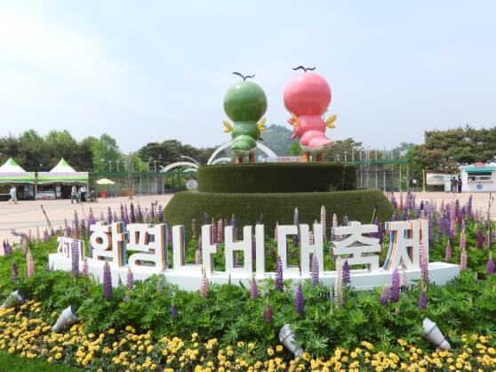 2025 함평 나비 축제 일정부터 주차·입장료까지! 꿀팁 총정리