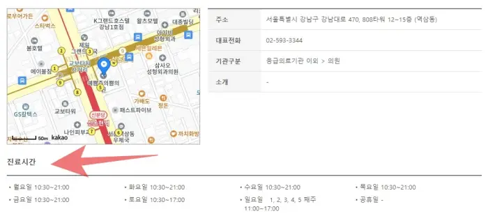 일요일 진료 병원