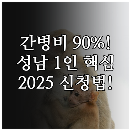 성남 1인 가구 간병비 2025 자격..