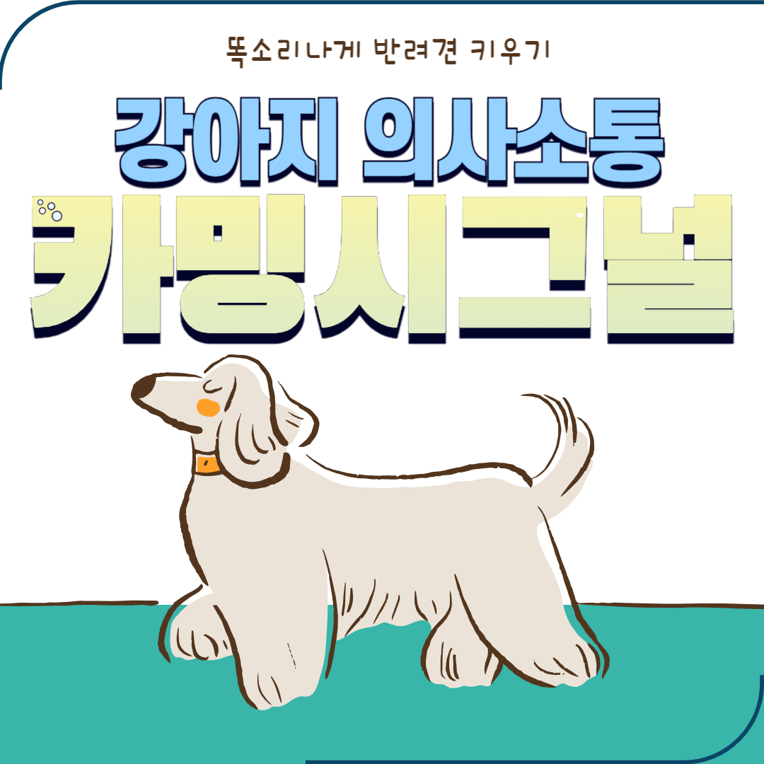 강아지 의사소통 카밍시그널